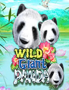 slot 100 bonussagame1678 สล็อต l รีวิวสุดคุ้มจาก Joker Gaming